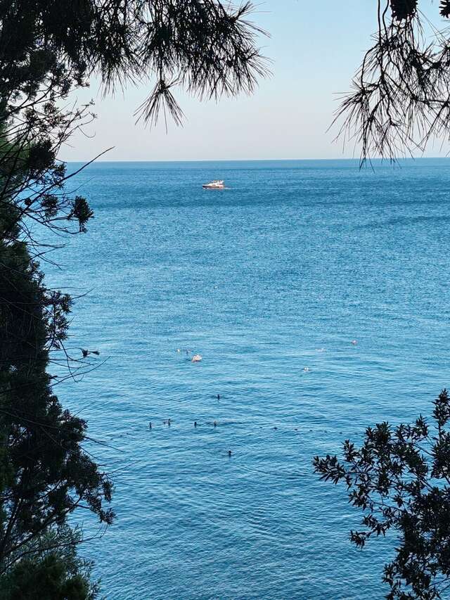 Гостиница Mare Nero Алупка-24